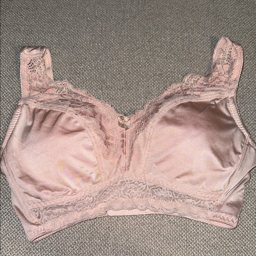 Rhonda Shear Pin Up Blush Lace Trim Bra